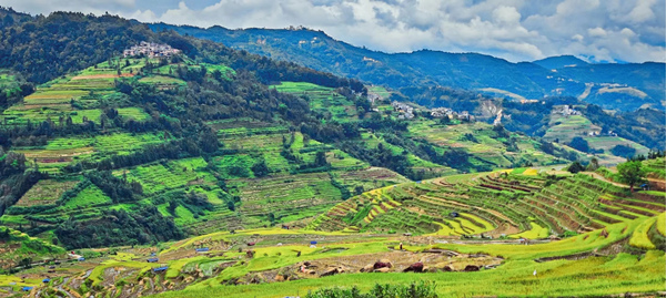 腊姑梯田。成人短视频
供图